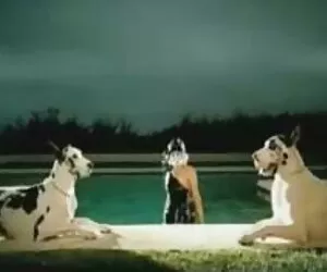 مامان به دنبال قسمت  ...