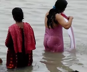 شیر آسیایی می عکس ها ...
