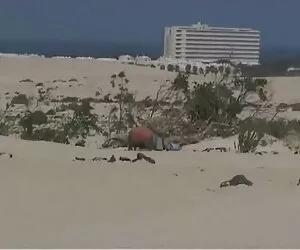 عزیزم کونزن خارجی ،  ...